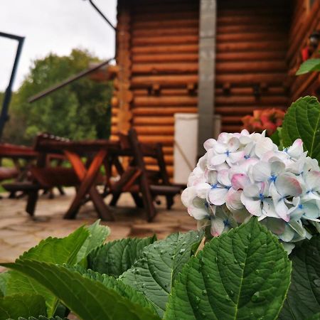 Valea Vistisoarei Villa Vistisoara Dış mekan fotoğraf