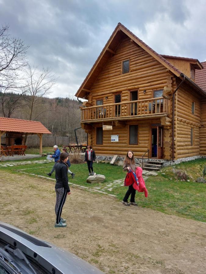Valea Vistisoarei Villa Vistisoara Dış mekan fotoğraf
