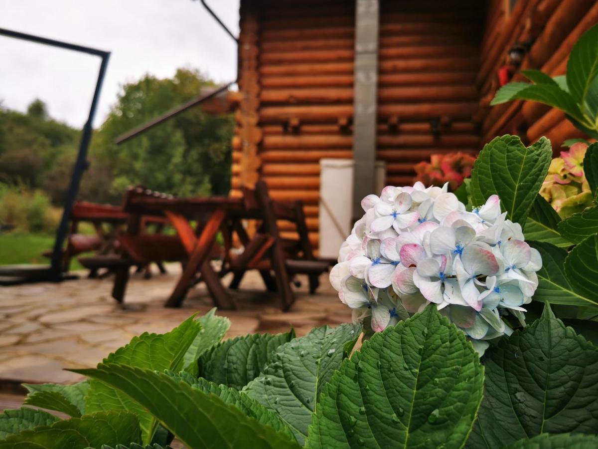 Valea Vistisoarei Villa Vistisoara Dış mekan fotoğraf