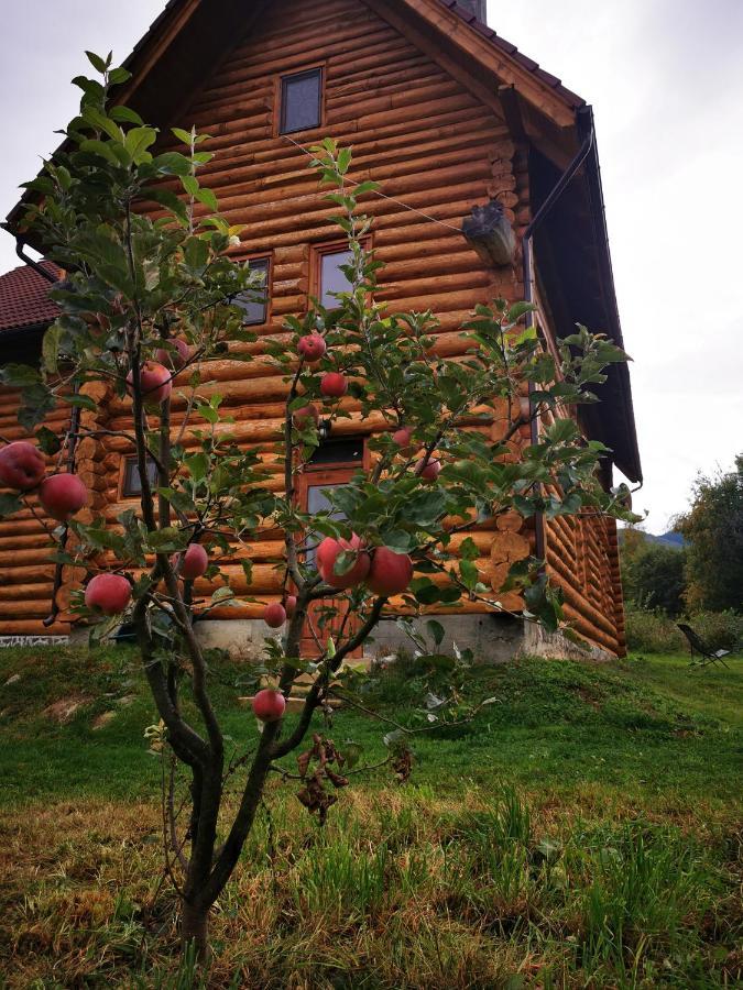 Valea Vistisoarei Villa Vistisoara Dış mekan fotoğraf