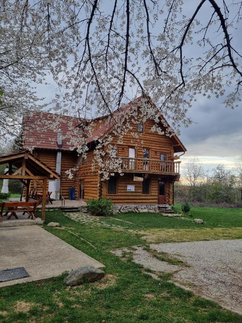 Valea Vistisoarei Villa Vistisoara Dış mekan fotoğraf