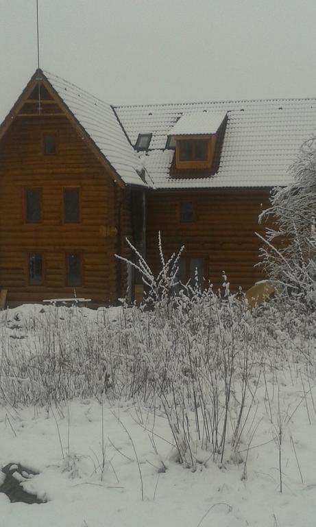 Valea Vistisoarei Villa Vistisoara Dış mekan fotoğraf