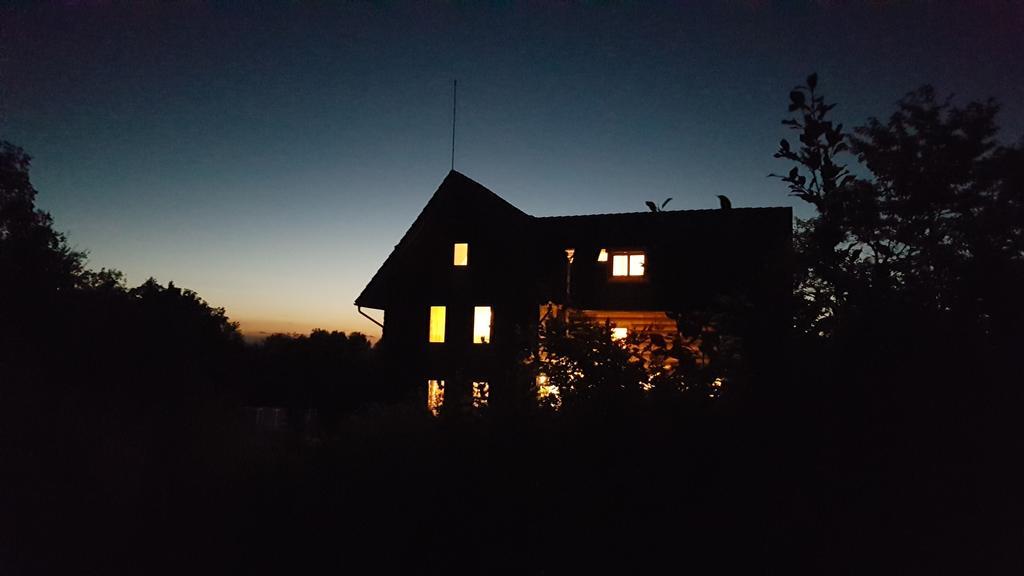Valea Vistisoarei Villa Vistisoara Dış mekan fotoğraf