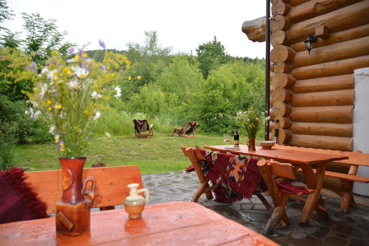 Valea Vistisoarei Villa Vistisoara Dış mekan fotoğraf