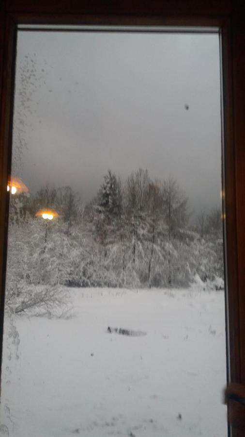 Valea Vistisoarei Villa Vistisoara Dış mekan fotoğraf