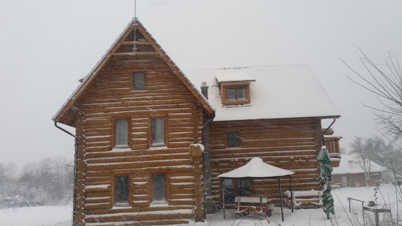 Valea Vistisoarei Villa Vistisoara Dış mekan fotoğraf