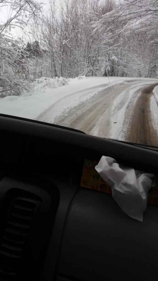 Valea Vistisoarei Villa Vistisoara Dış mekan fotoğraf