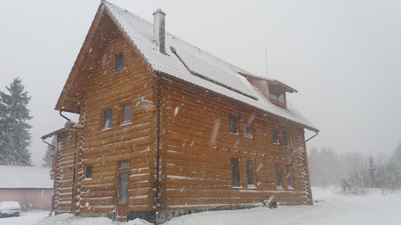 Valea Vistisoarei Villa Vistisoara Dış mekan fotoğraf