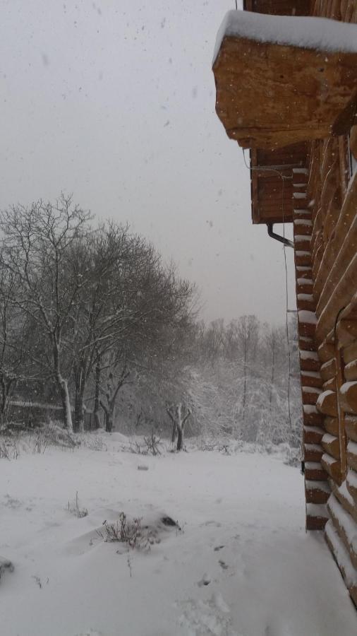 Valea Vistisoarei Villa Vistisoara Dış mekan fotoğraf